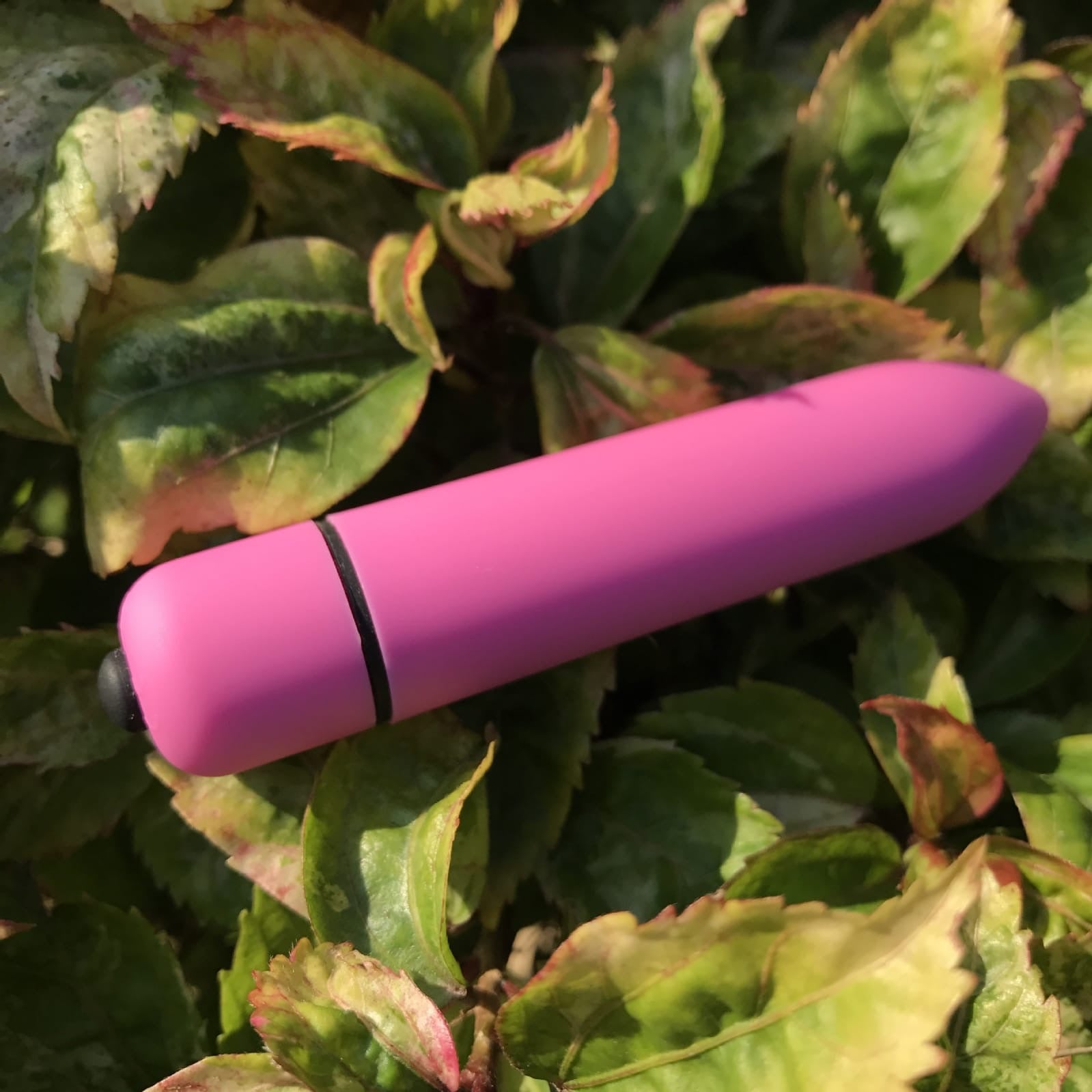 Minibullet Vibrator